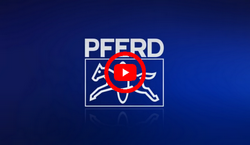 PFERD - POLINOX® Non-Woven Tools