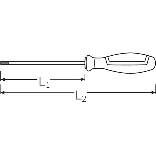Giraviti Tamper Resistant Torx DRALL+ 4656