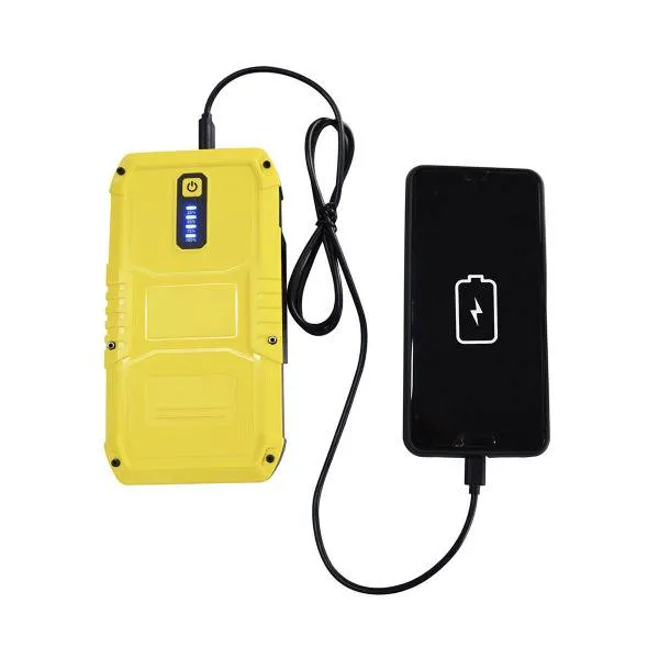 Avviatore d'emergenza Intec i-Starter 2.4 12V