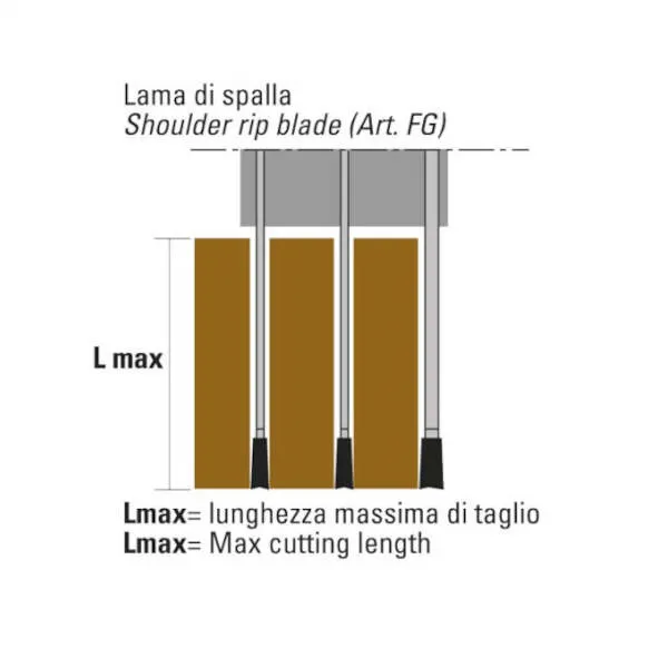 /webPImages/categories/lame-circolari-hw-di-spalla-per-multilame-6.webP /webPImages/categories/lame-circolari-hw-di-spalla-per-multilame-6.webP
