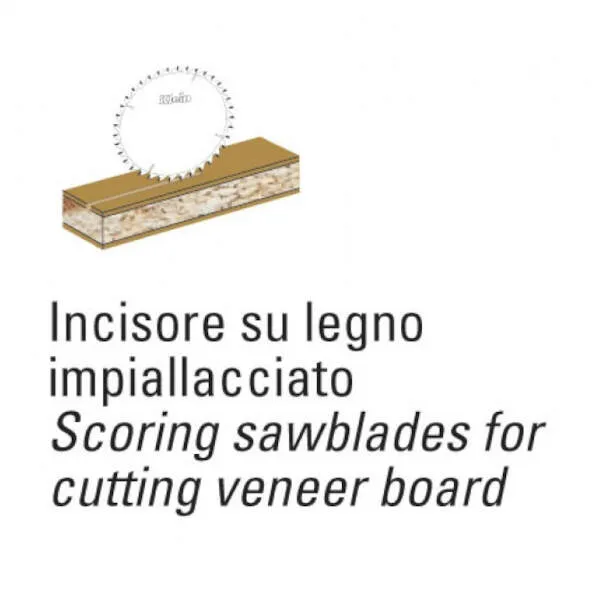 /webPImages/categories/lame-circolari-hw-incisori-conici-4.webP /webPImages/categories/lame-circolari-hw-incisori-conici-4.webP