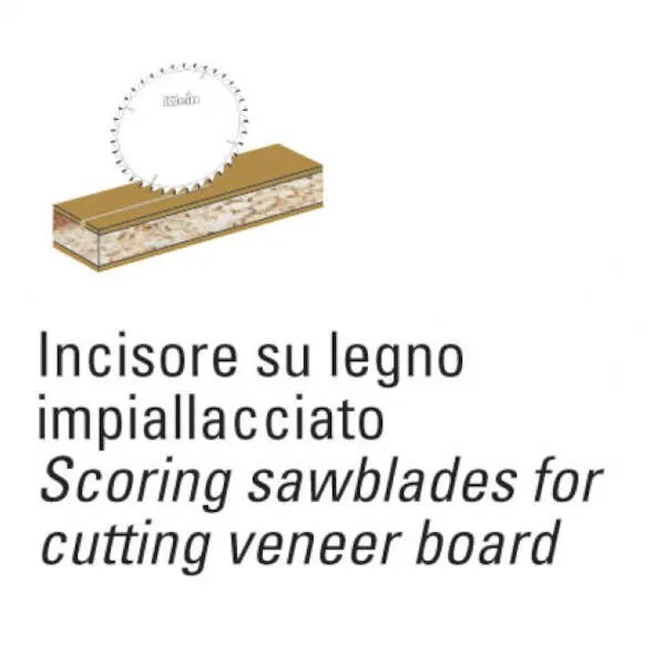 /webPImages/categories/lame-incisore-conico-pkd-4.webP /webPImages/categories/lame-incisore-conico-pkd-4.webP