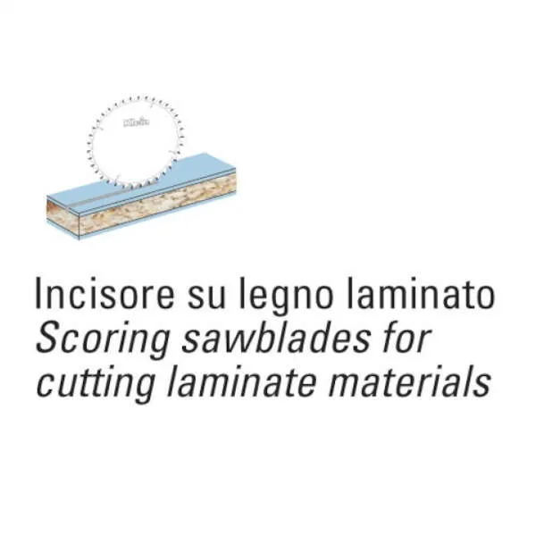 /webPImages/categories/lame-incisore-conico-pkd-5.webP /webPImages/categories/lame-incisore-conico-pkd-5.webP