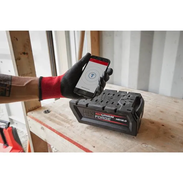 Batterie MXF FORGE 12.0 Ah