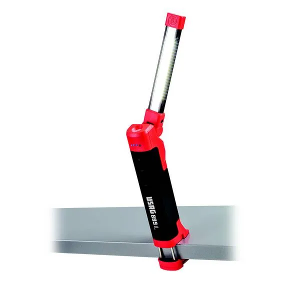 889 IL Lampada snodata