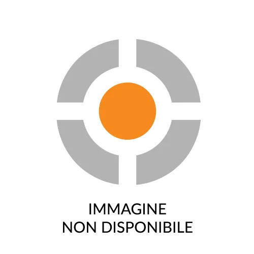 Filtri Classe H per AS 2-250 EH Filtri Classe H per AS 2-250 EH
