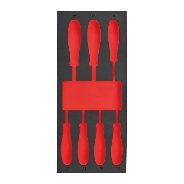 Modulo Vuoto Set Giraviti Torx N°1 Modulo Vuoto Set Giraviti Torx N°1