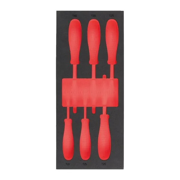 Modulo Vuoto Set Giraviti Torx N°2 Modulo Vuoto Set Giraviti Torx N°2