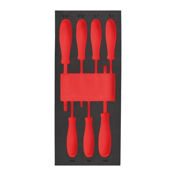 Modulo Vuoto Set Giraviti Taglio E Philips Modulo Vuoto Set Giraviti Taglio E Philips