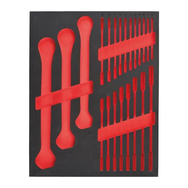 Modulo Vuoto Set Chiavi Combinate Cricchetto Compl Modulo Vuoto Set Chiavi Combinate Cricchetto Compl
