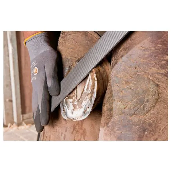 Pialla per maniscalco PFERD 3515 350