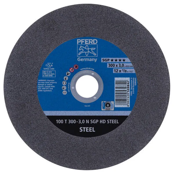Disco 100 T 300-3,0 N SGP HD STEEL/40,0