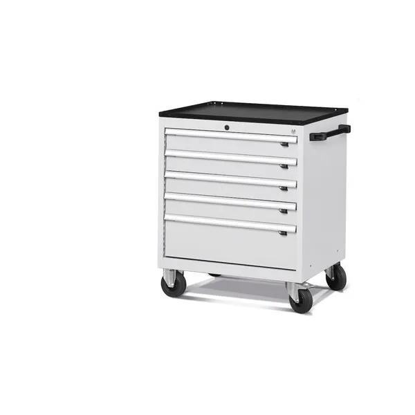 Armadio FAMI 5 cassetti 794x600x852 RAL7035