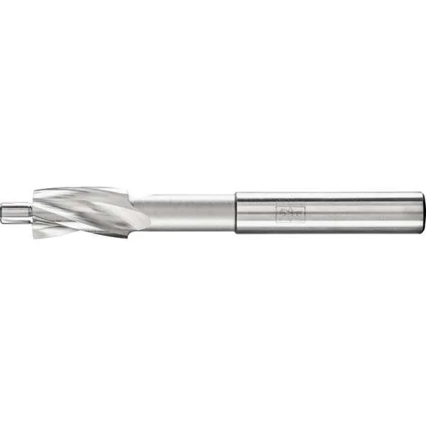Lamatore PFERD FLS HSS DIN 373 10,0 GKL