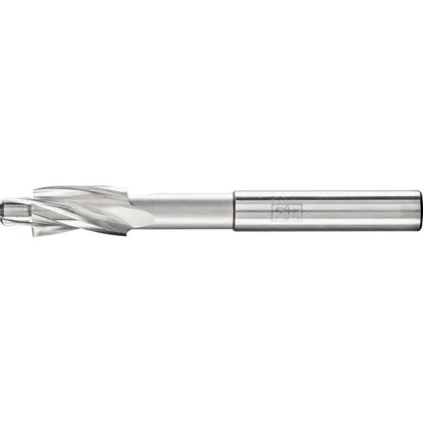 Lamatore PFERD FLS HSS DIN 373 10,0 M