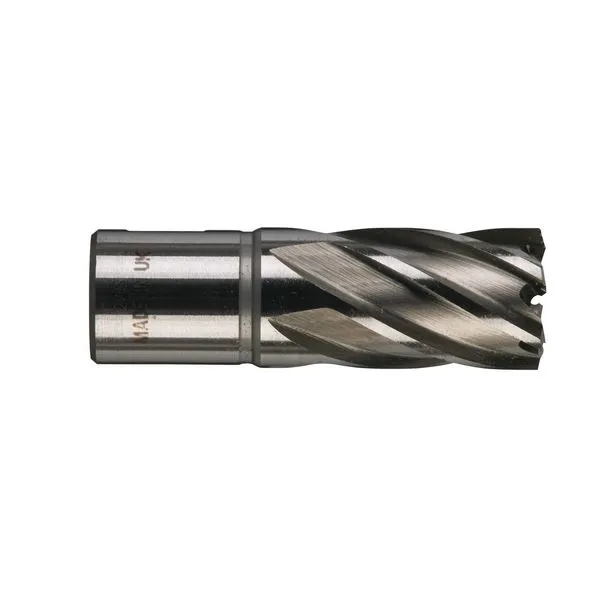 Fresa per metallo HSS 20X30 mm