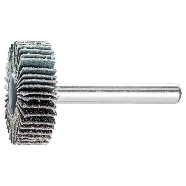 Rullo a lamelle F 3010/6 SiC 80