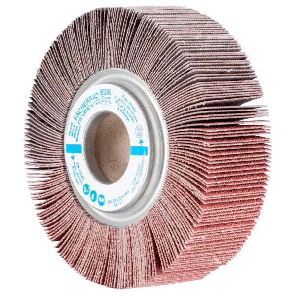 Ruota lamellare FR 10030/25,4 A 120