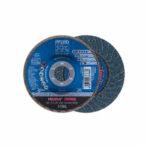 /webPImages/smallCategories/disco_lamellare_polifan_z_sgp_strong_steel.webP