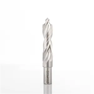 /webPImages/smallCategories/punte-hs-per-forare-pvc-e-alluminio-z2.webP