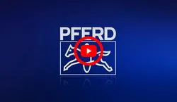 PFERD - POLINOX® Non-Woven Tools